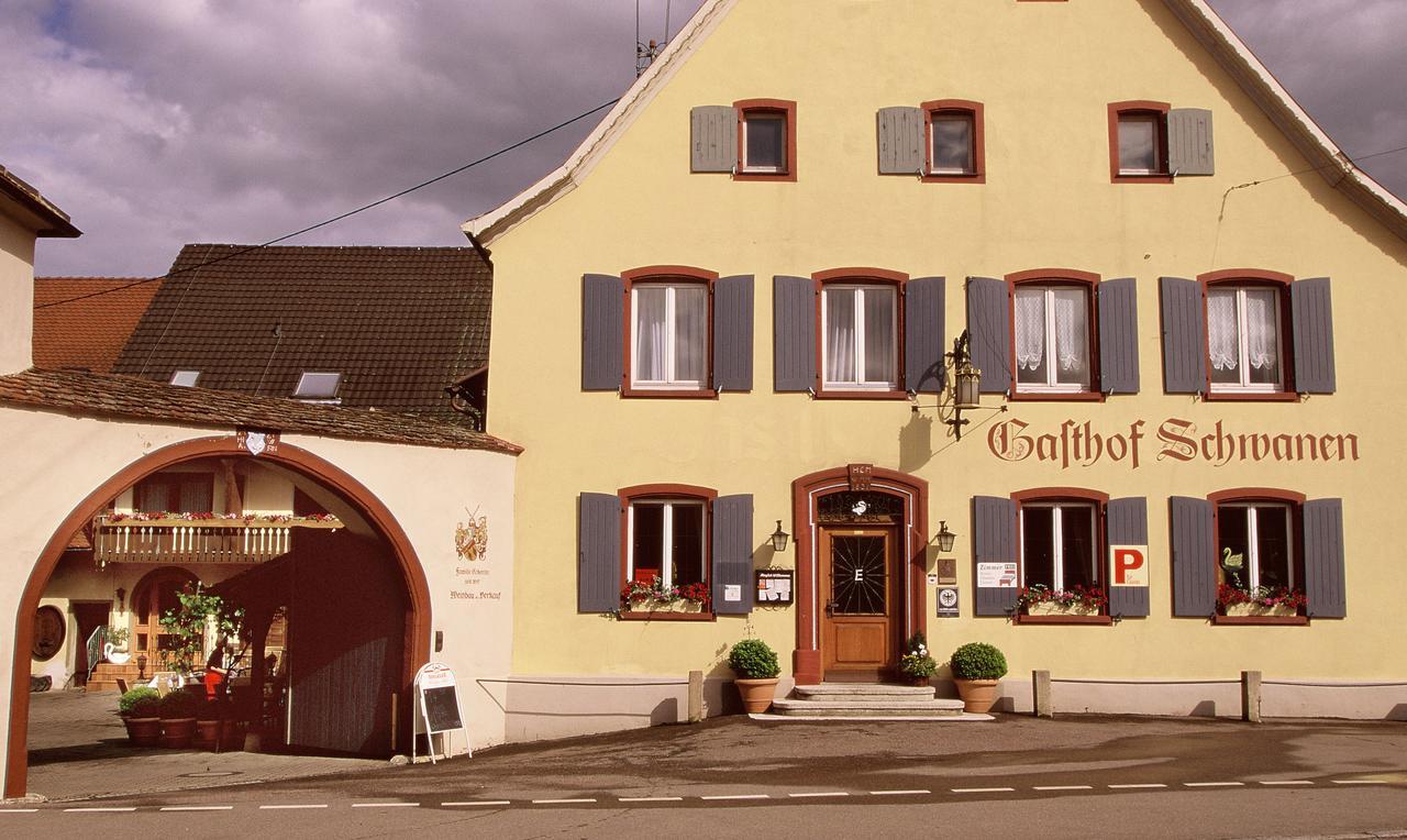Отель Zum Schwanen Garni Buggingen Экстерьер фото